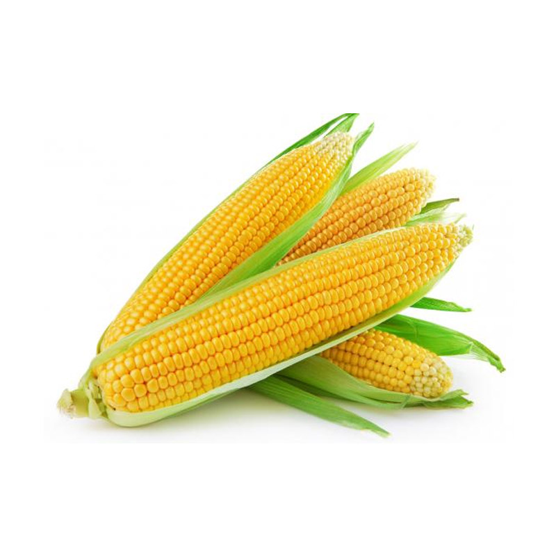 sweet corn